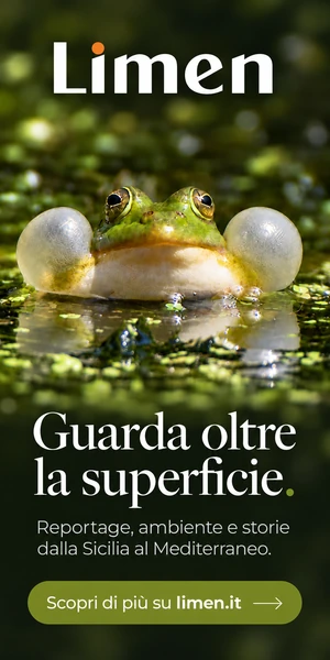 LIMEN – Guarda oltre la superficie