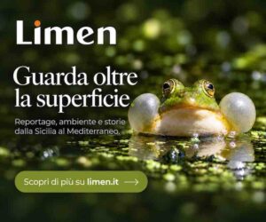 LIMEN – Guarda oltre la superficie