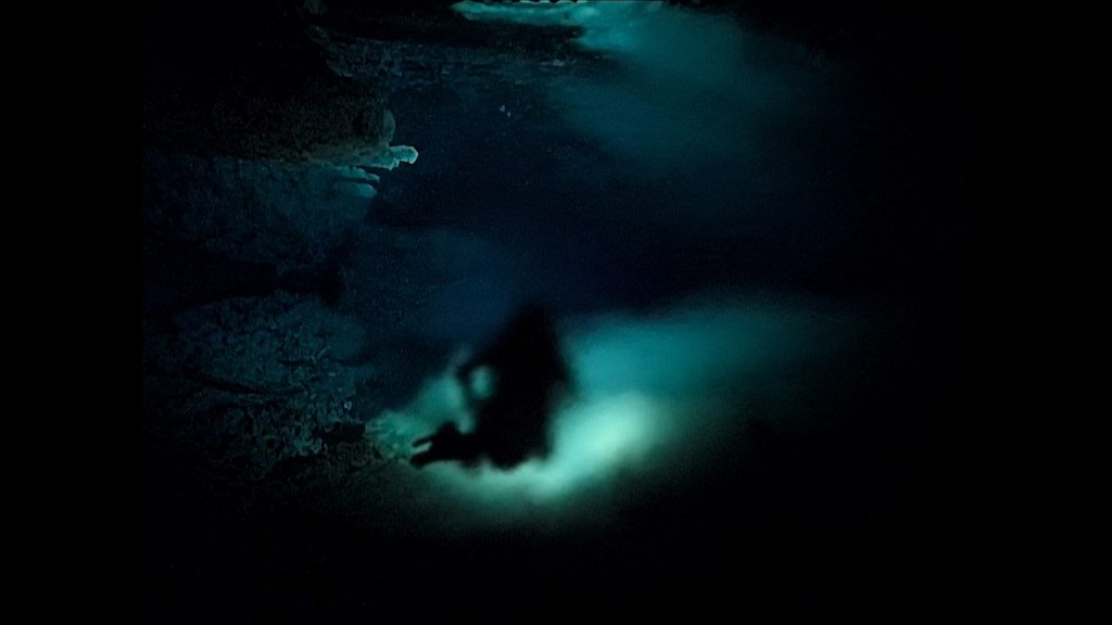 Grotta Grande della Ficarella, Riserva dello Zingaro. Uno speleologo subacqueo attraversa la zona di miscellazione tra l’acqua dolce proveniente dal massiccio carsico e l’acqua salata del mare, penetrata nella cavità. Nel passaggio tra acque con diversa salinità, densità e indice di rifrazione si crea una sorta di velo mobile che sfoca e deforma le immagini. L’effetto non coinvolge soltanto la vista del subacqueo: anche l’obiettivo della macchina fotografica registra la stessa perdita di nitidezza, trasformando nell’immagine un fenomeno fisico normalmente percepibile solo durante l’immersione. Foto Vincenzo Sottosanti / Archivio LIMEN