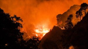 Incendio boschivo nei pressi di Messina. Foto Comando provinciale Vigili del Fuoco di Messina. Edizione Redazione LIMEN