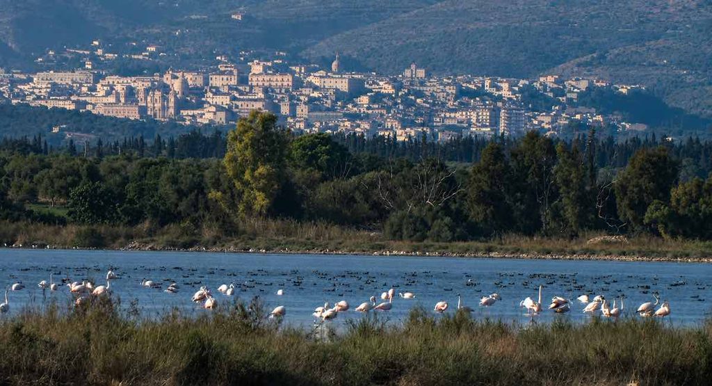 Vendicari, sede di Man and Karst 2026. Nei pantani della riserva sostano gli uccelli migratori lungo le rotte che uniscono Africa ed Europa; sullo sfondo si staglia Noto, la città barocca che ospiterà i convegnisti e che sarà visitata durante il programma. Un’immagine che sintetizza lo spirito del convegno: mettere insieme ricerca scientifica, territorio e patrimonio culturale. Foto Vincenzo Sottosanti / Archivio LIMEN