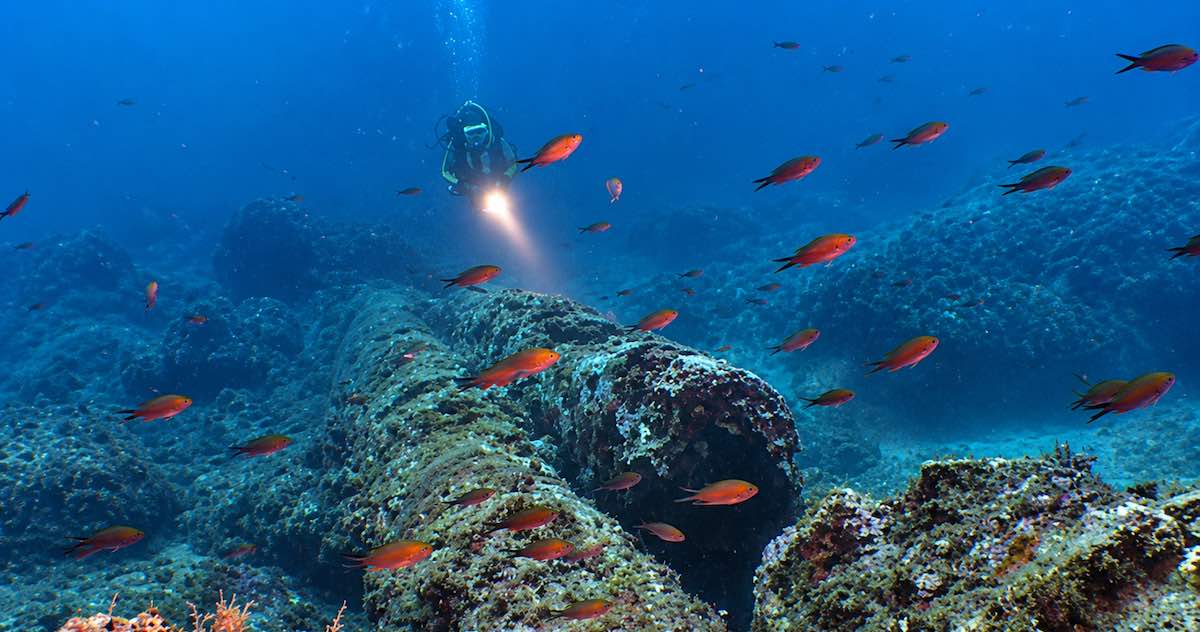 Da Kekova a Kamarina, il Mediterraneo era già una strada prima di Ulisse.