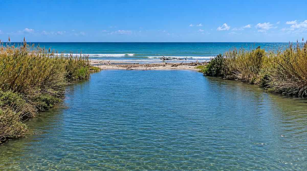 La plastica nascosta nel Mediterraneo. La posidonia sentinella dei fiumi e del mare ibleo.